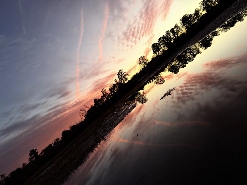 Angola Marina Counseling Research Clinical Practice Guiding Transformation